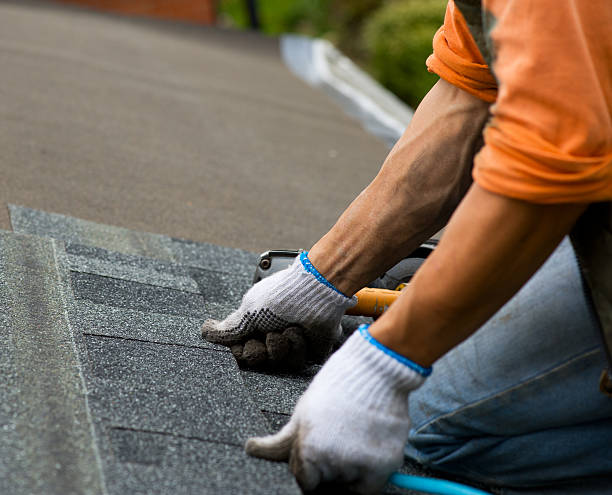 Quick and Trustworthy Emergency Roof Repair Services in Fish Hawk, FL