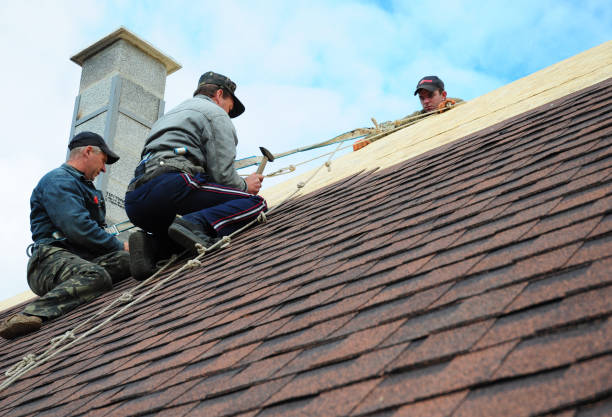 Roof Installation Near Me in Fish Hawk, FL