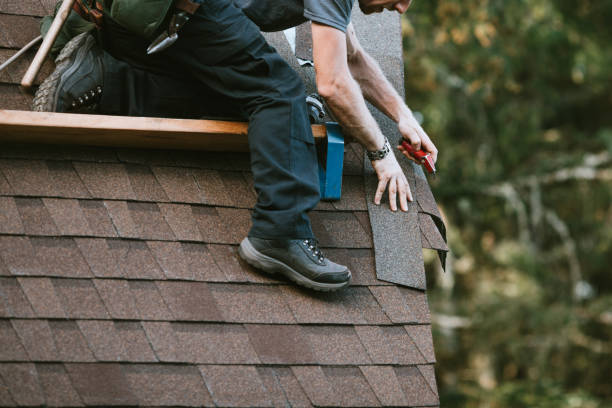 Best New Roof Installation  in Fish Hawk, FL